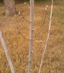 IMAG0294.jpg