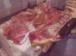 IMG11693.jpg