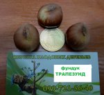 IMG_9339 - копия.JPG