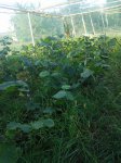 IMG_20170903_17212022.jpg
