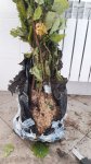 IMG-20171018-WA0029.jpg