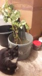 IMG-20171018-WA0033.jpg
