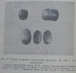 Академик_Яблоков_Гибрид_328.jpg