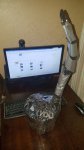 20171026_002742.jpg