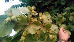 IMG_20170807_200710.jpg