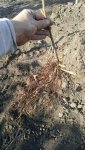 IMG_20181027_153305-1170x2080.jpg